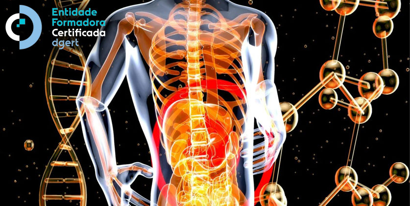 Curso de Anatomia e Fisiologia